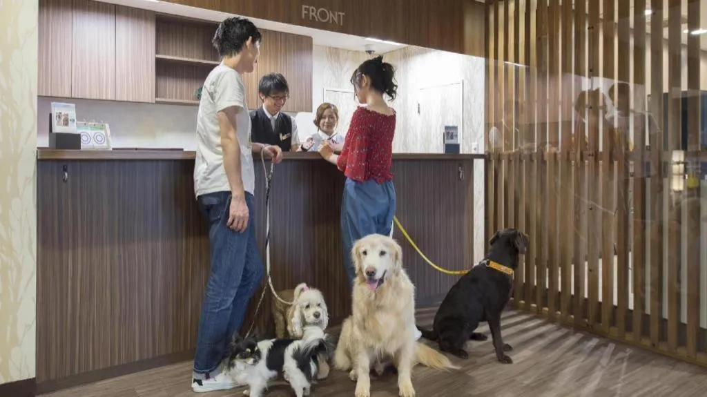 Izukogen Wanwan Paradise Condominium