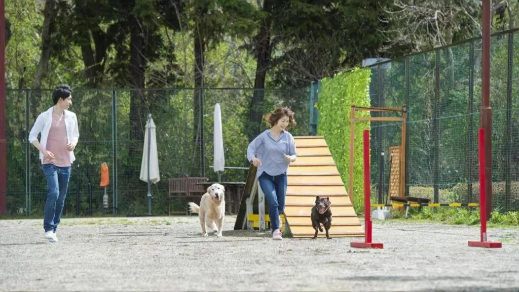 Izukogen Wanwan Paradise Condominium