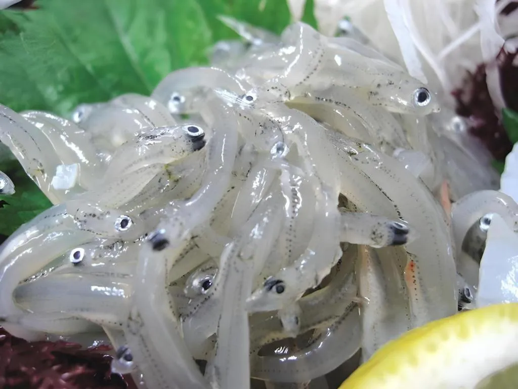 Shinojima Royal Hotel Kasuisou