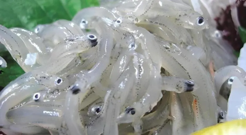 Shinojima Royal Hotel Kasuisou