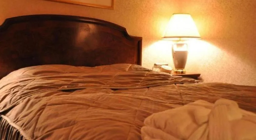 Bed in Palace Inn Toyota