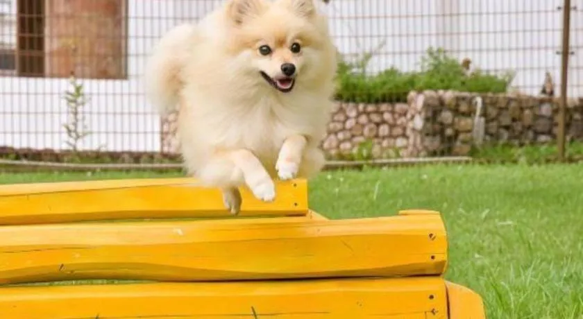 Hamanako Lake Side Plaza