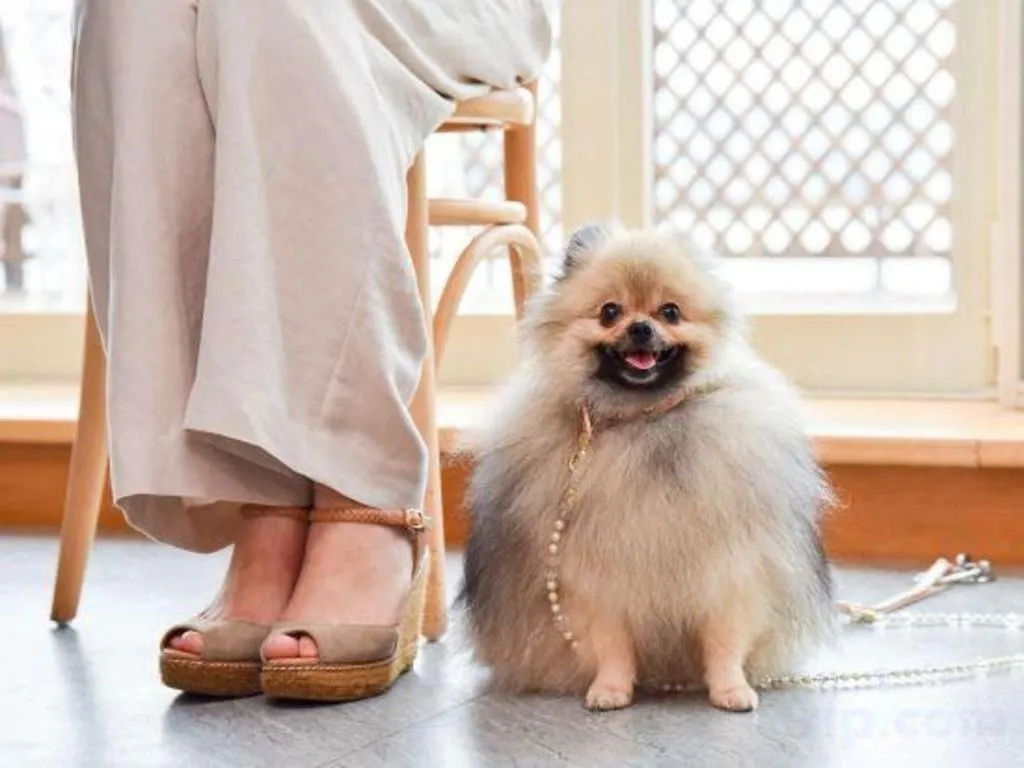 Hamanako Lake Side Plaza