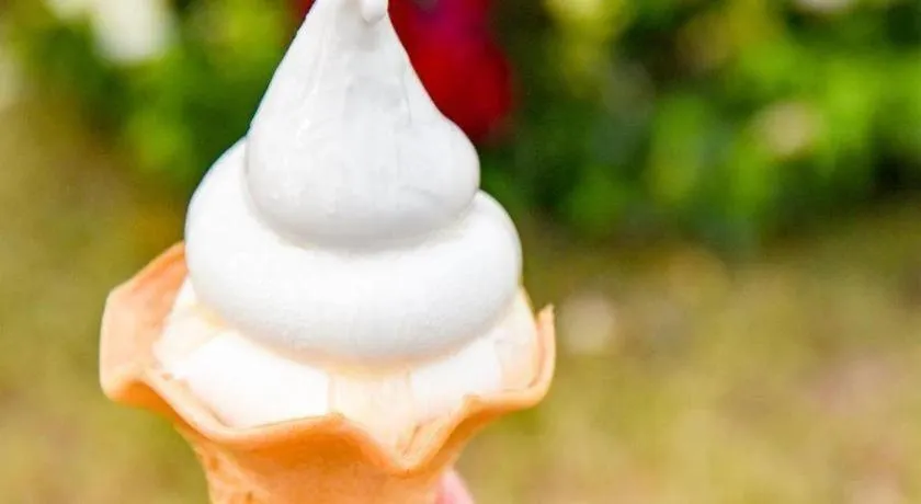 Hamanako Lake Side Plaza