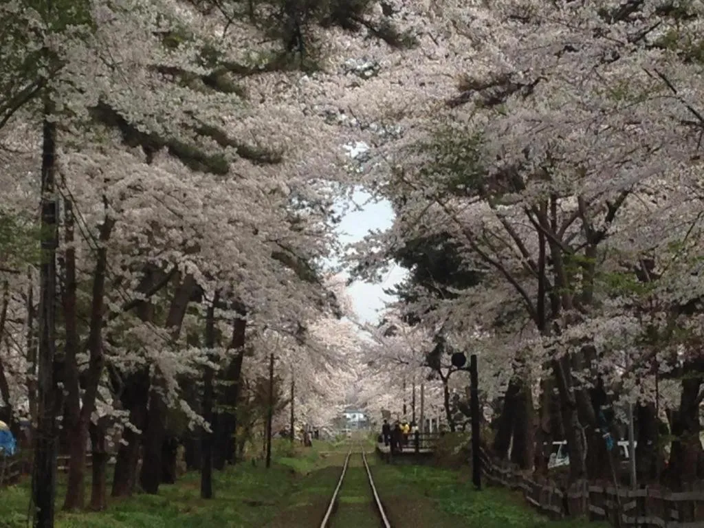 Park Inn Goshogawara Elmcity