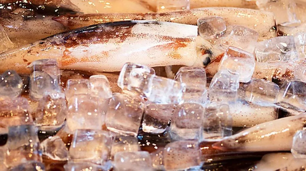 Sea Side Villa Bokkai