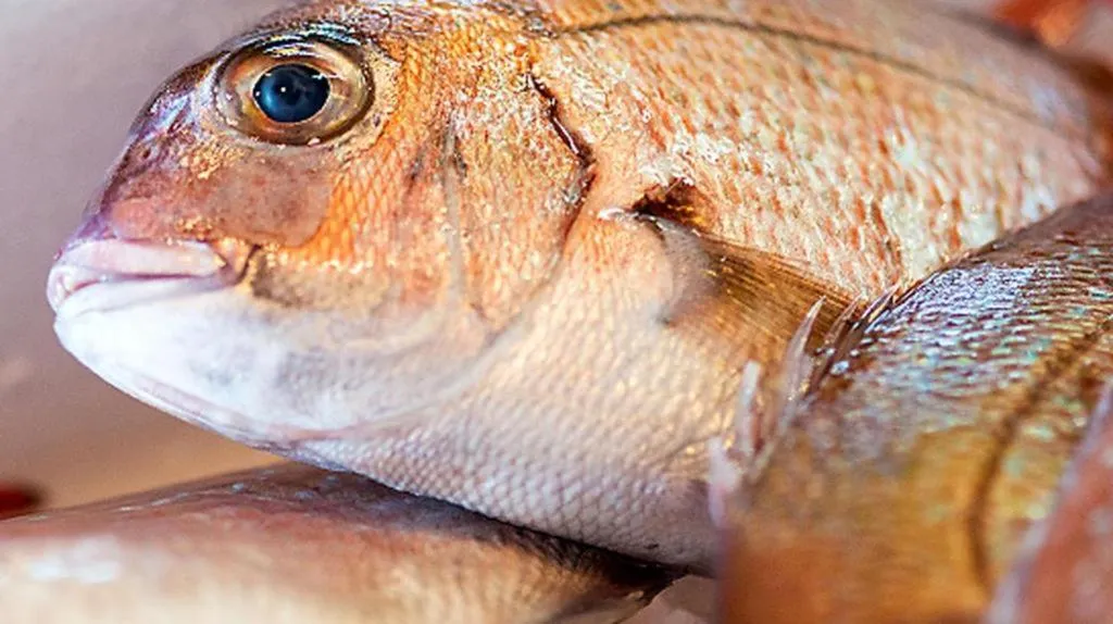 Sea Side Villa Bokkai