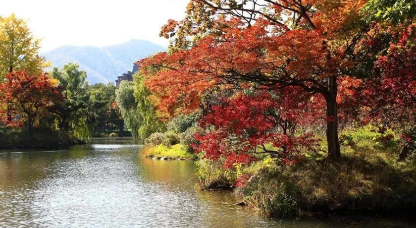 Red Planet Sapporo Susukino South