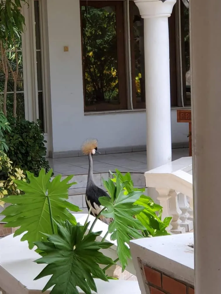 Property building in Kiriri Residence Hotel