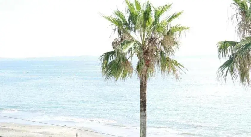 Mykonos Resort Miura Mykonos Resort Miura