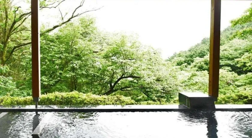 Atami Mori no Onsen Hotel