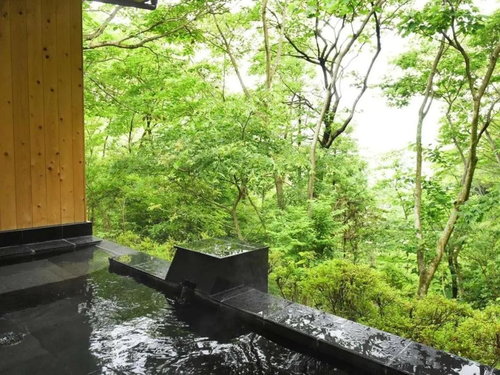 Atami Mori no Onsen Hotel