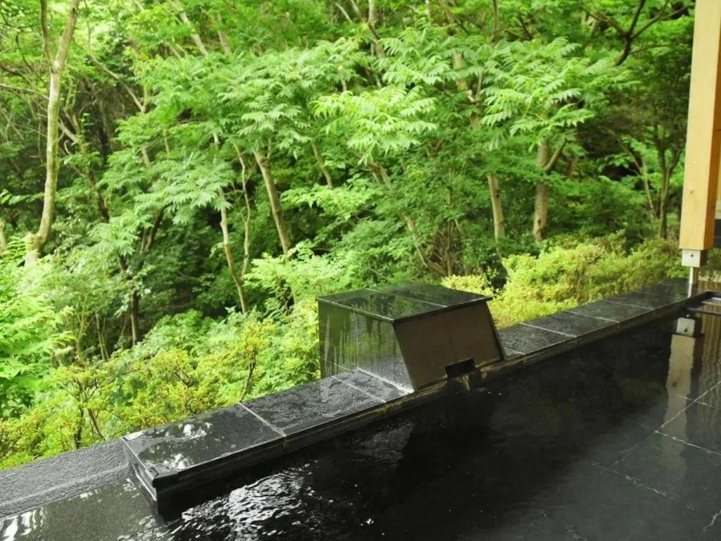 Atami Mori no Onsen Hotel