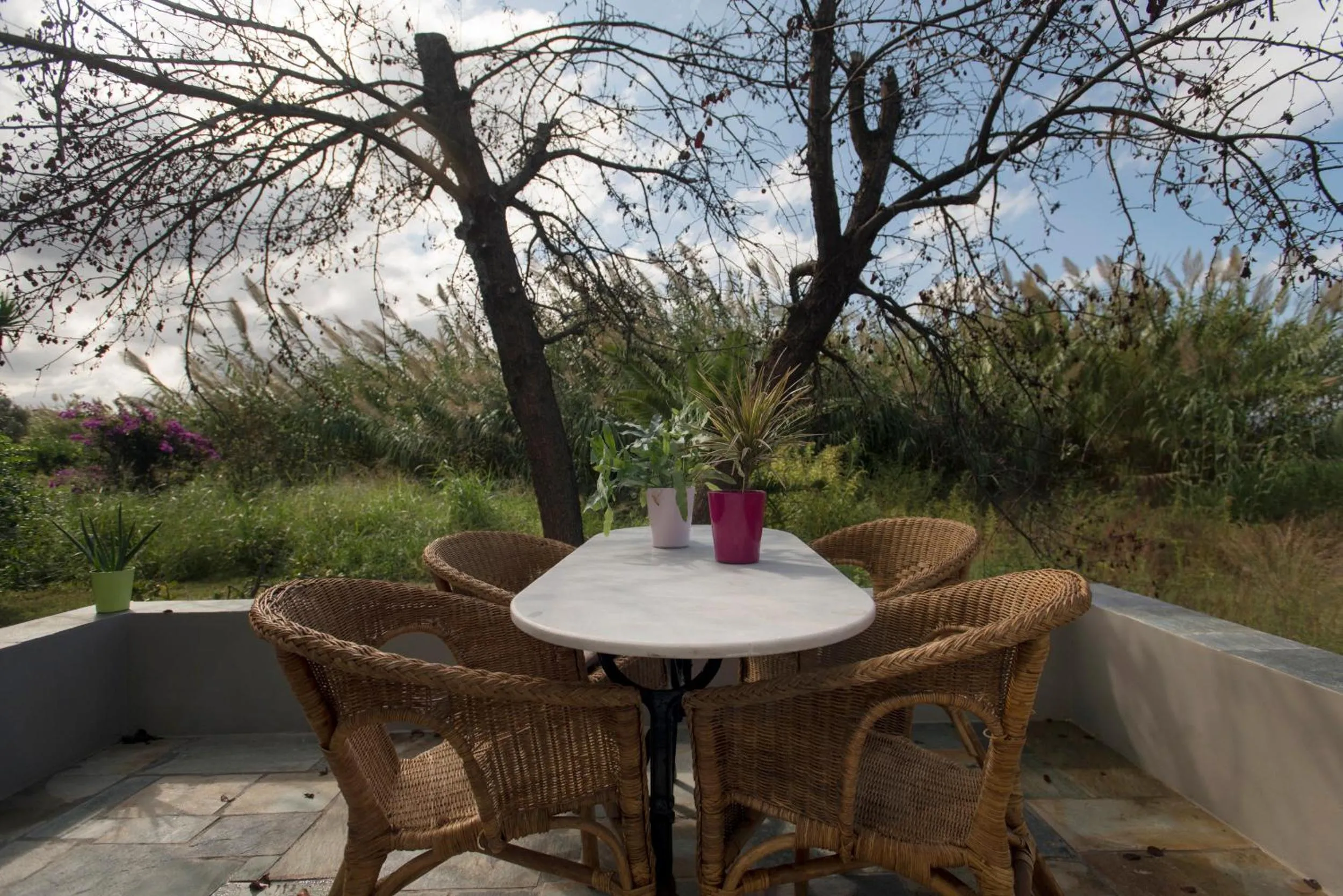 Garden view in Proimos Apartments