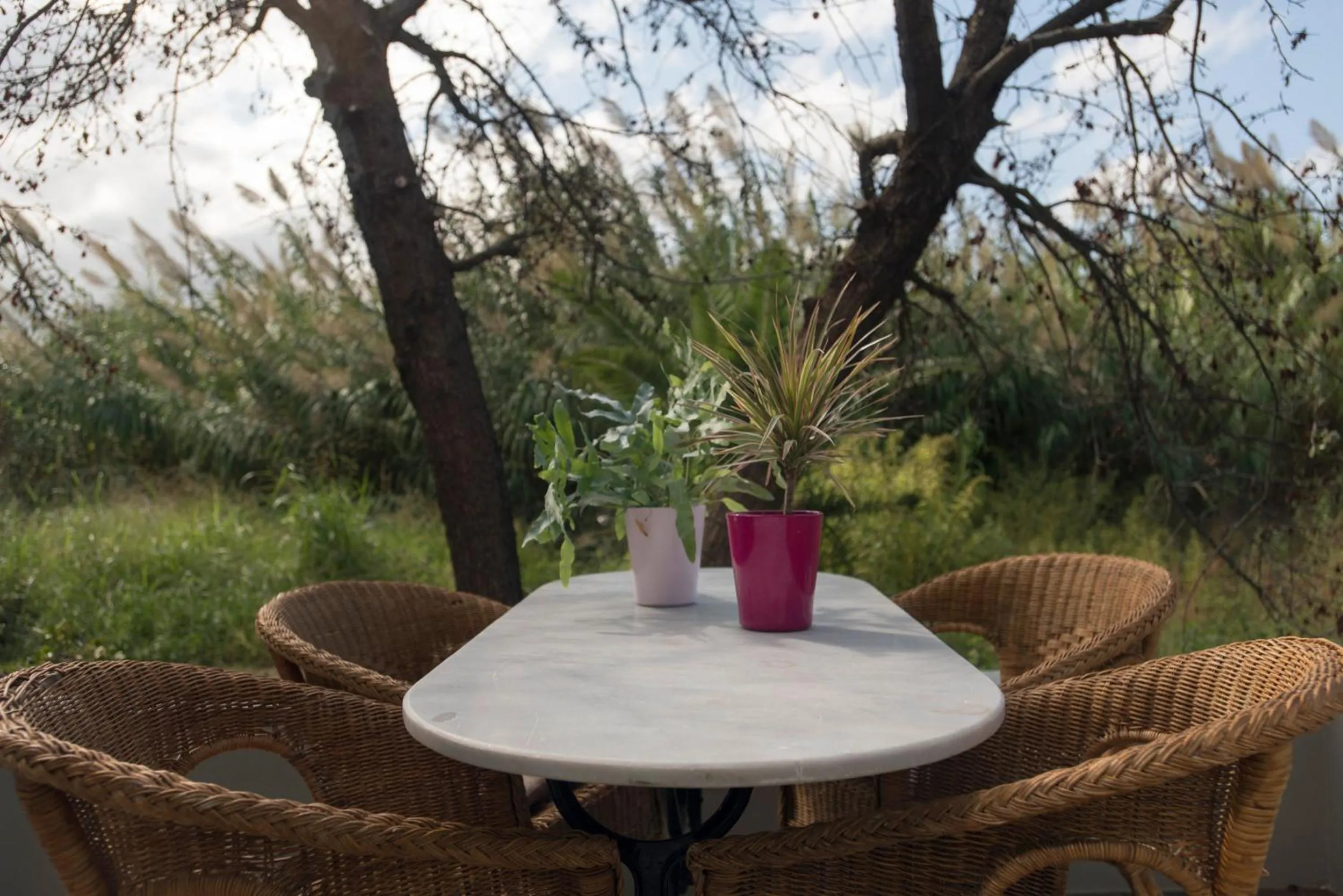 Balcony/Terrace in Proimos Apartments