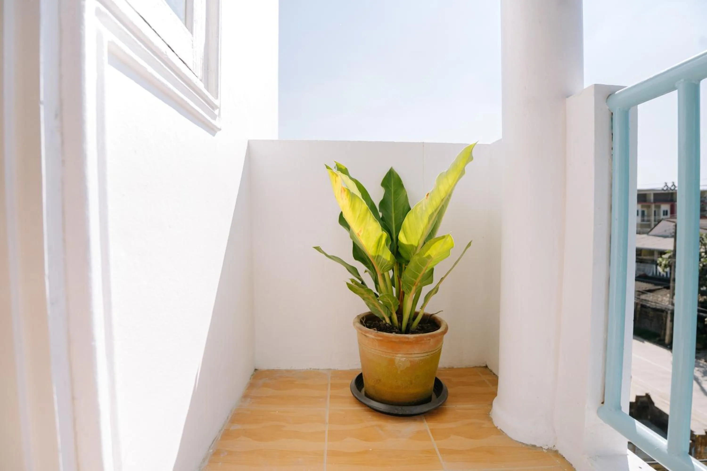 Day in B&B Chiangrai