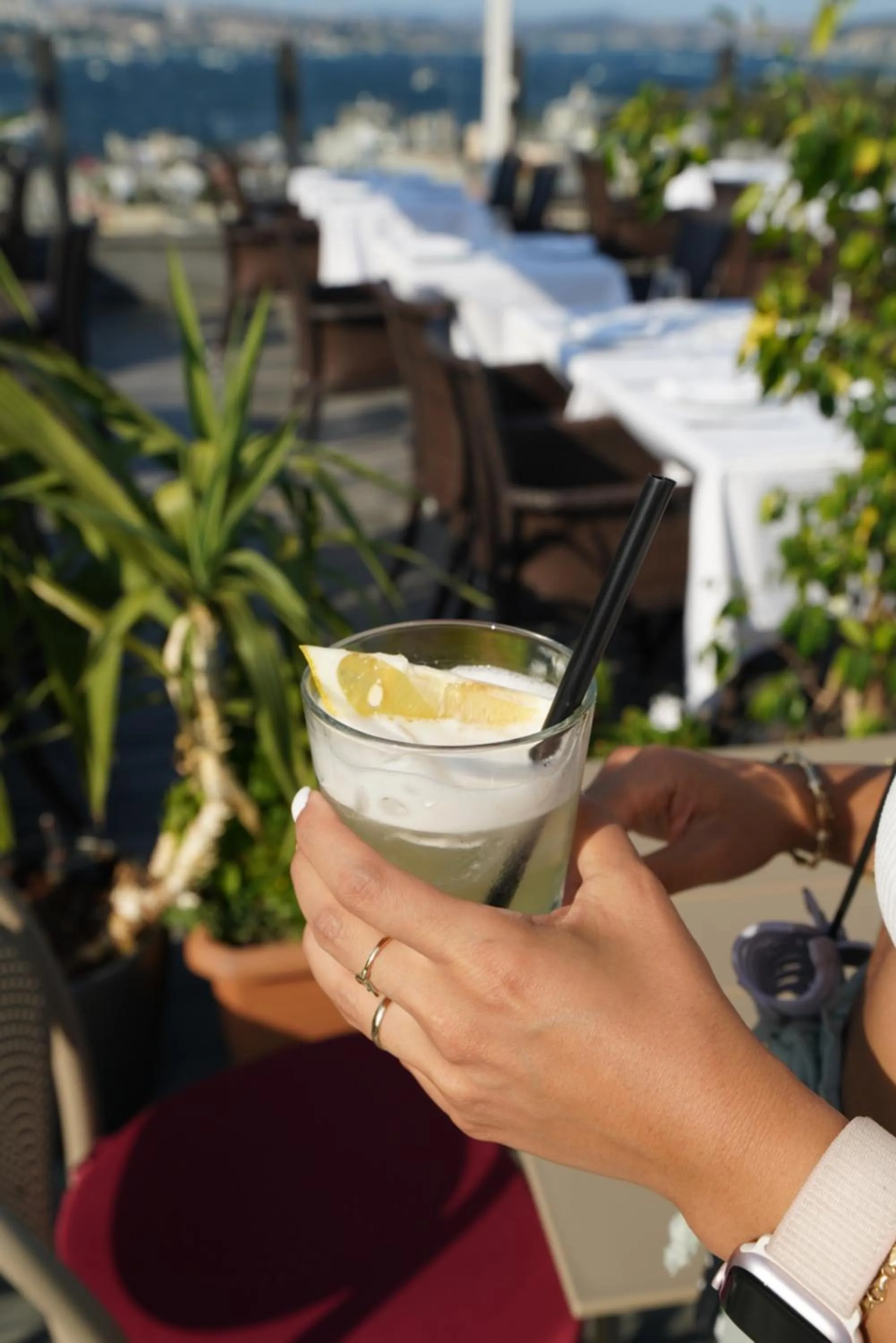 Levni Istanbul Hotel Handwritten Collection by ACCOR