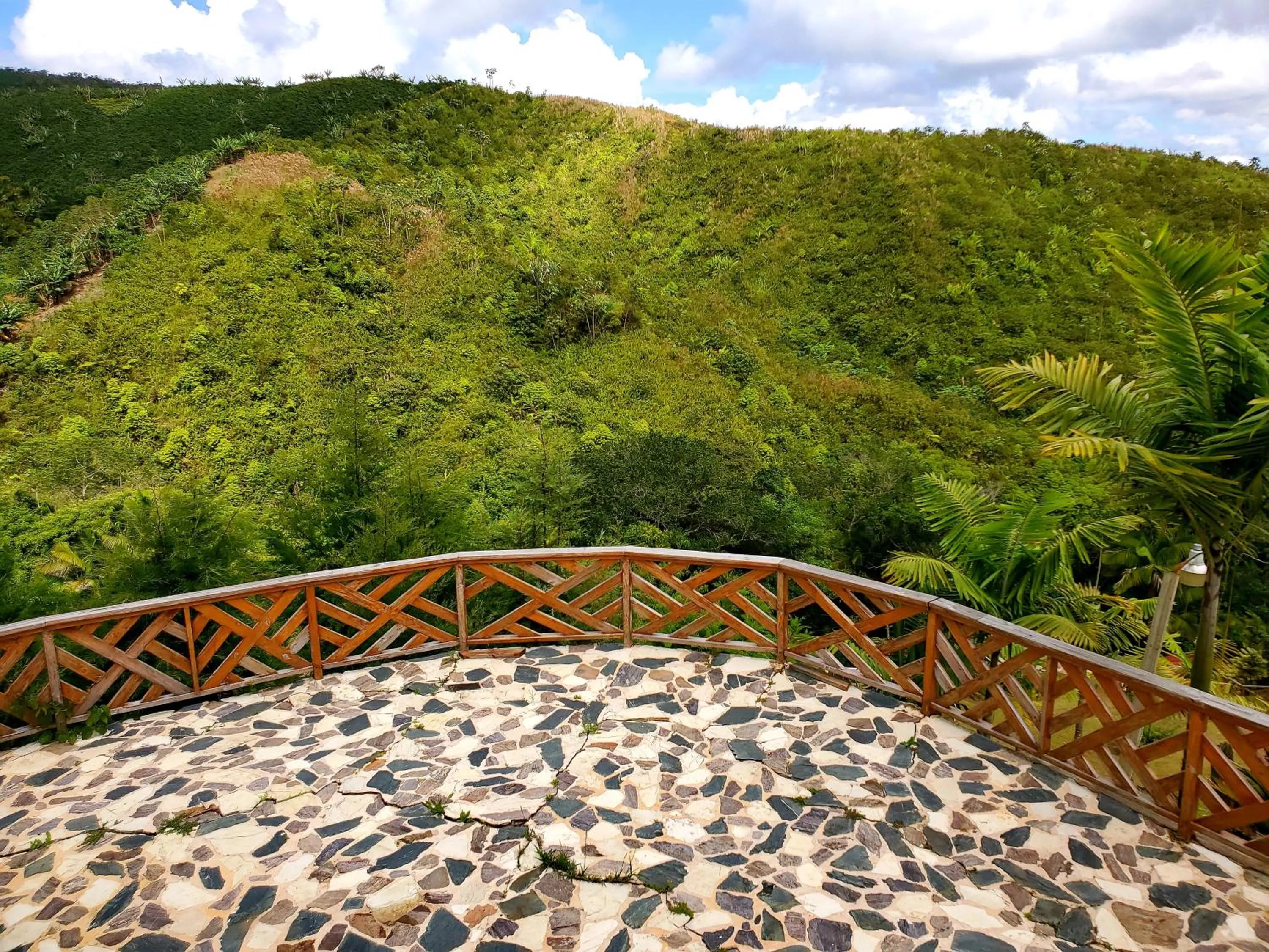 Natural landscape in Villas Las Neblinas