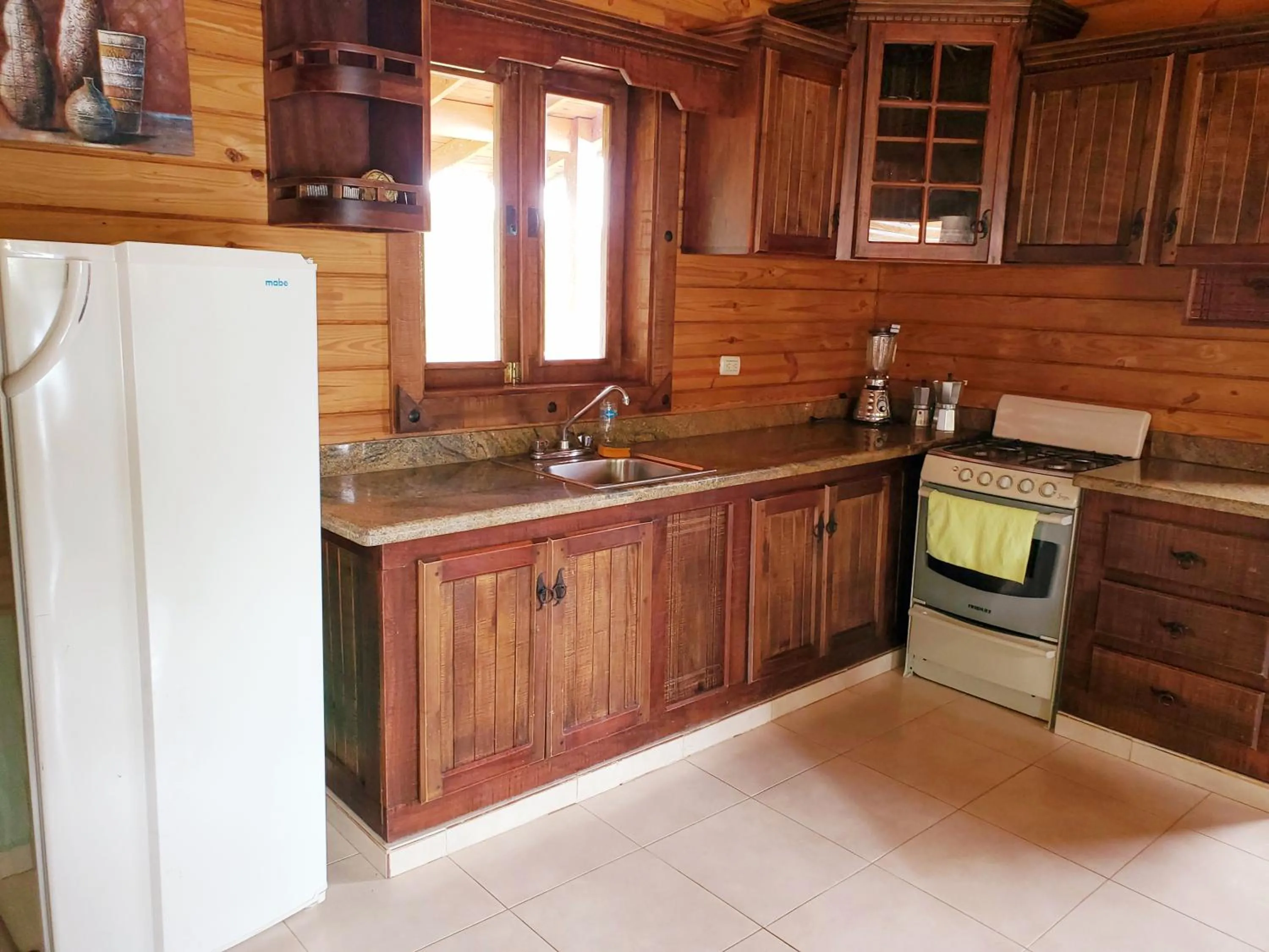 Kitchen or kitchenette in Villas Las Neblinas