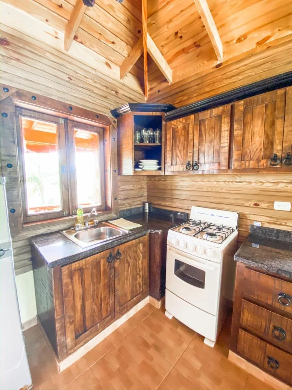Kitchen or kitchenette in Villas Las Neblinas