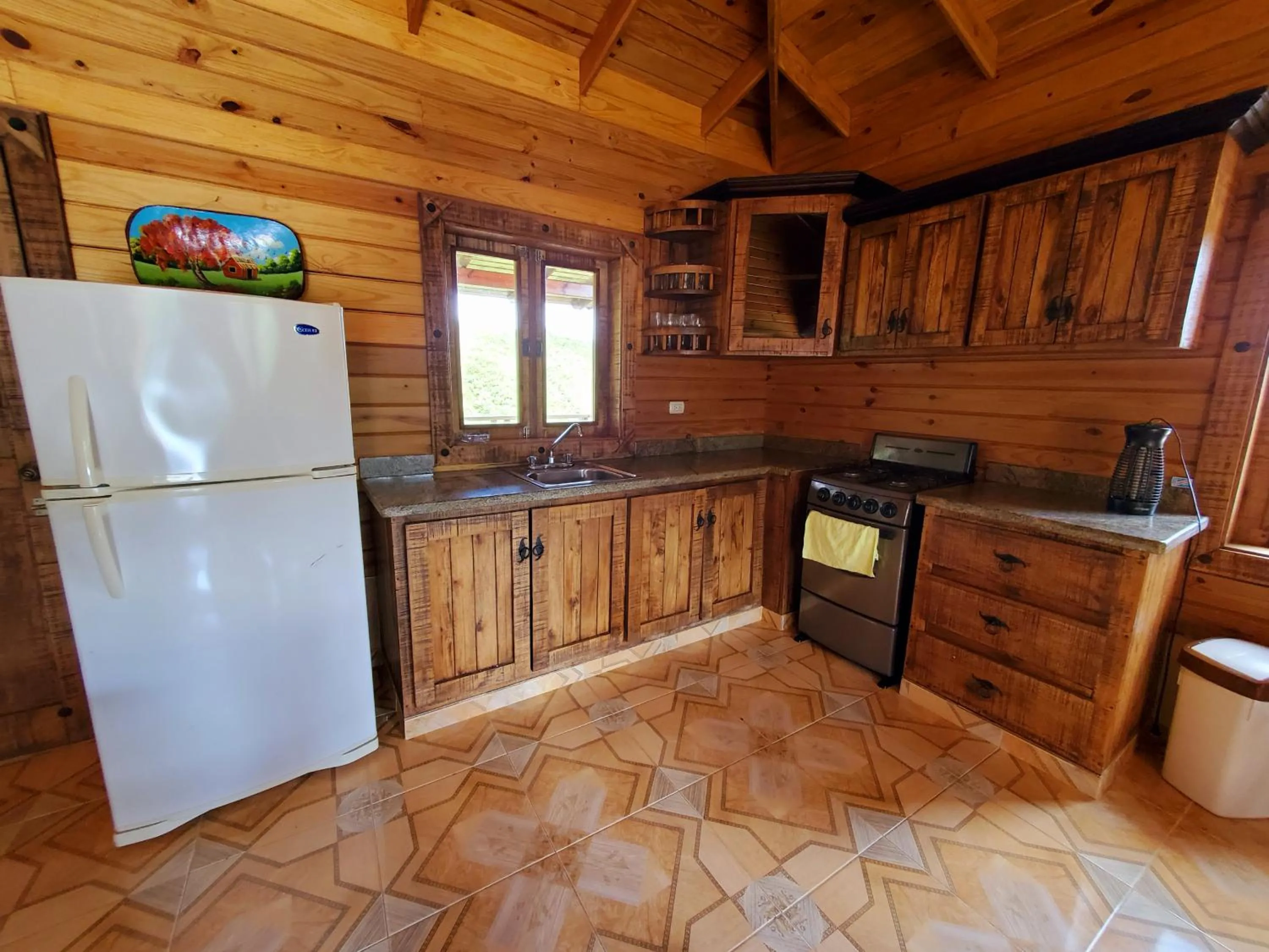 Kitchen or kitchenette in Villas Las Neblinas
