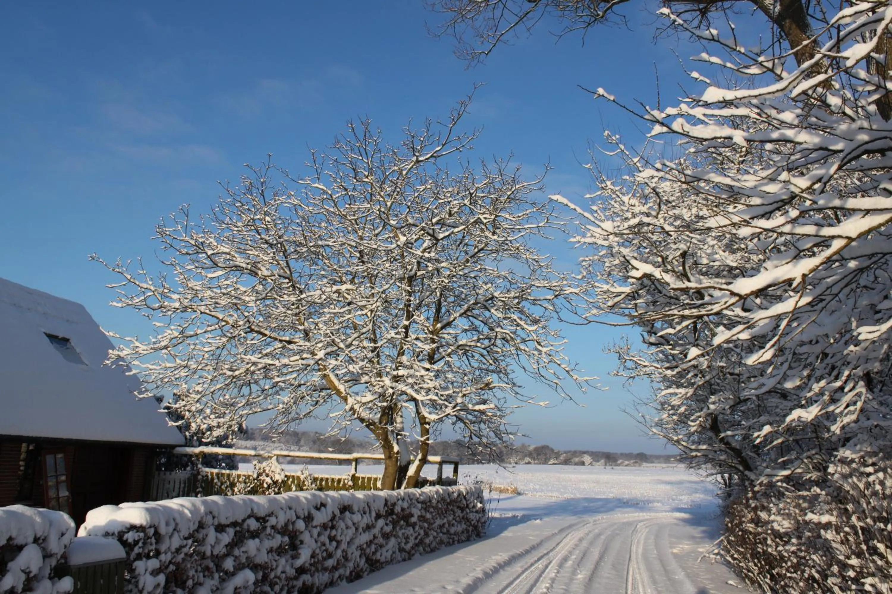 Natural landscape in Borup Bed & Breakfast