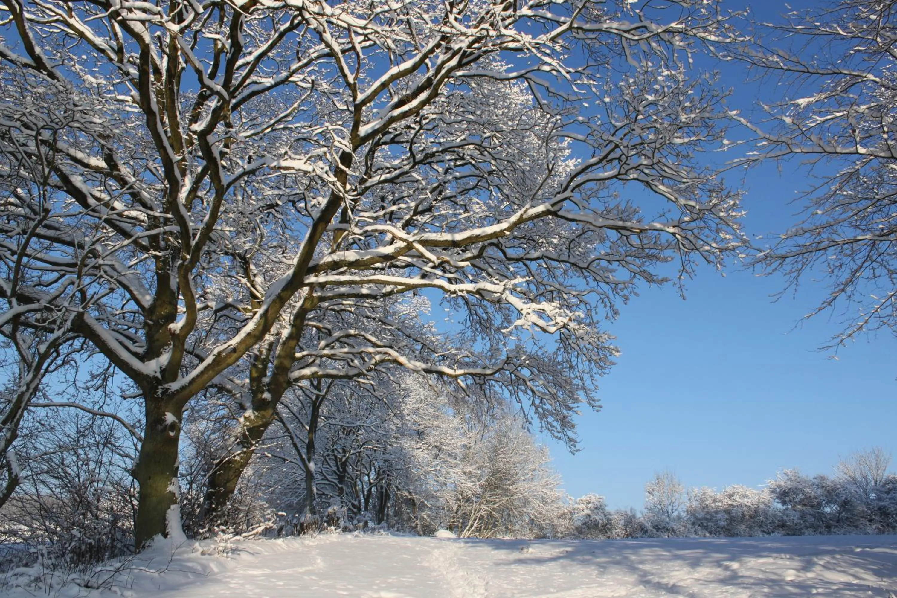 Natural landscape in Borup Bed & Breakfast