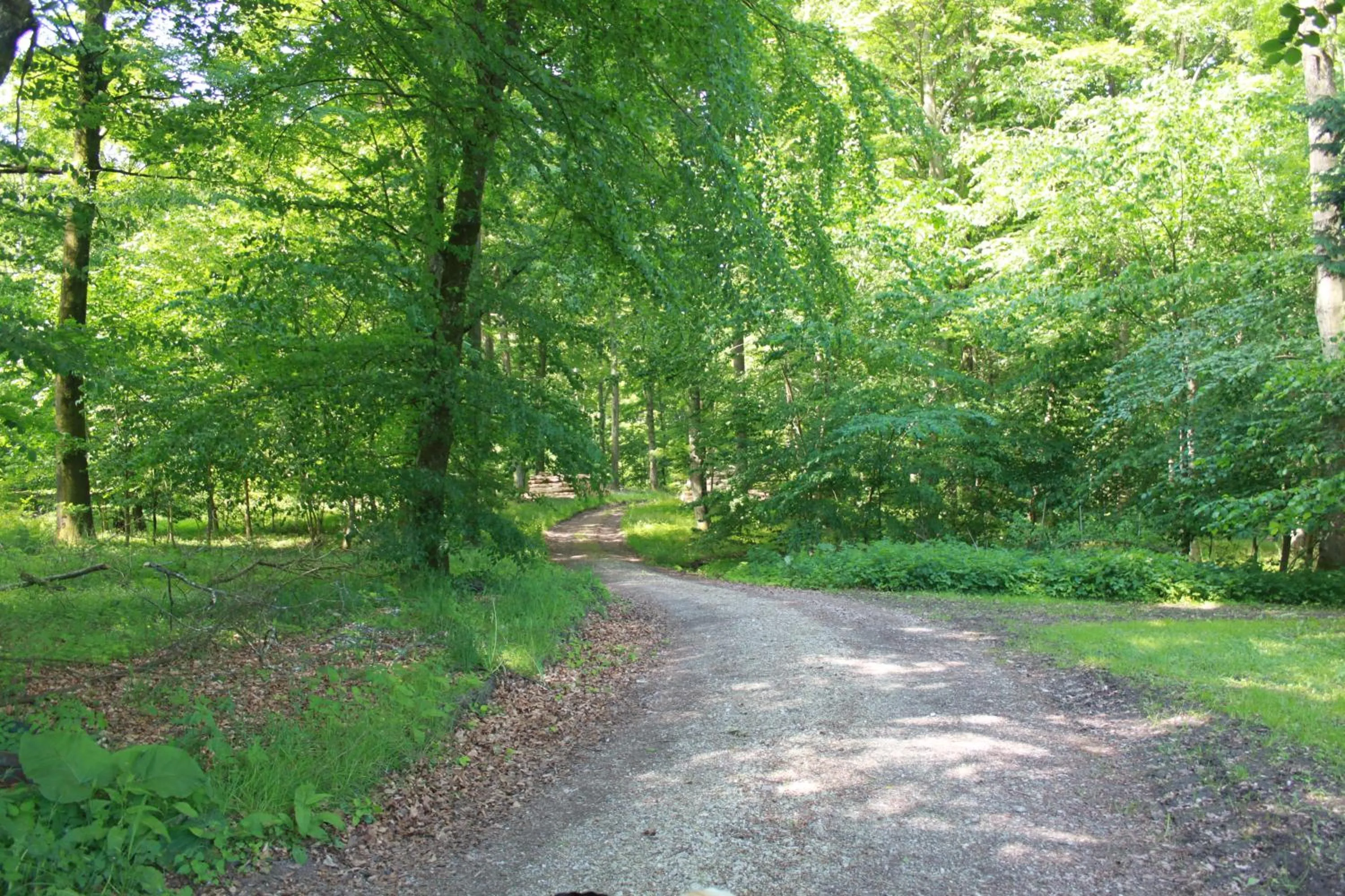Natural landscape in Borup Bed & Breakfast