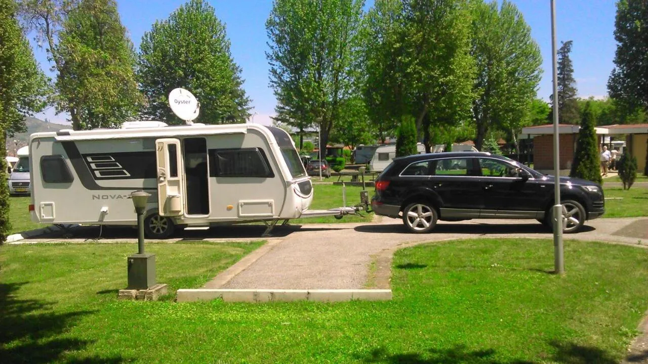 Natural landscape in Hotel Bellevue