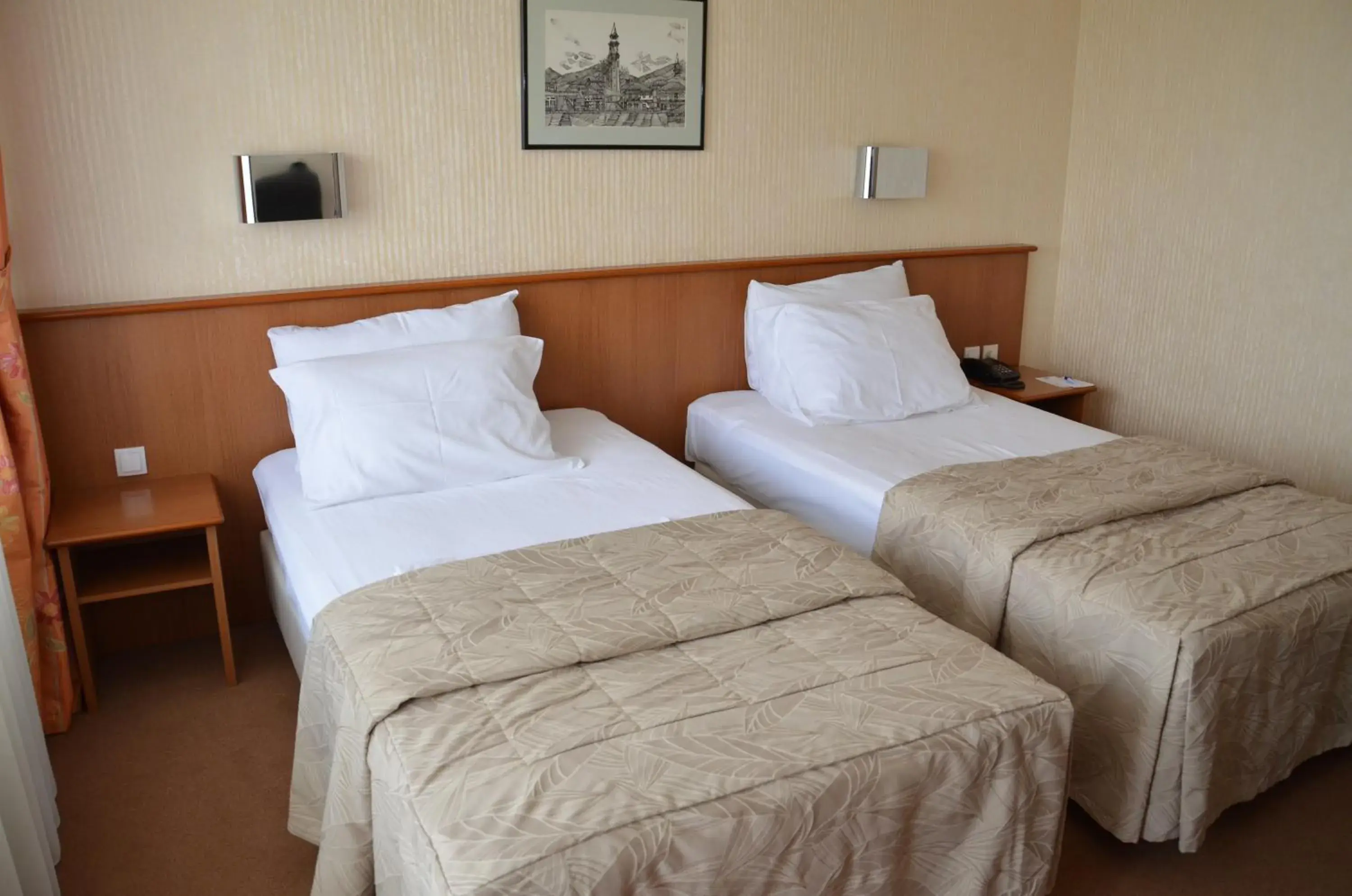 Twin Room with Balcony - single occupancy in Hotel Bellevue Twin Room with Balcony - single occupancy in Hotel Bellevue
