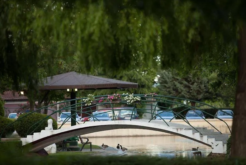 Natural landscape in Hotel Bellevue