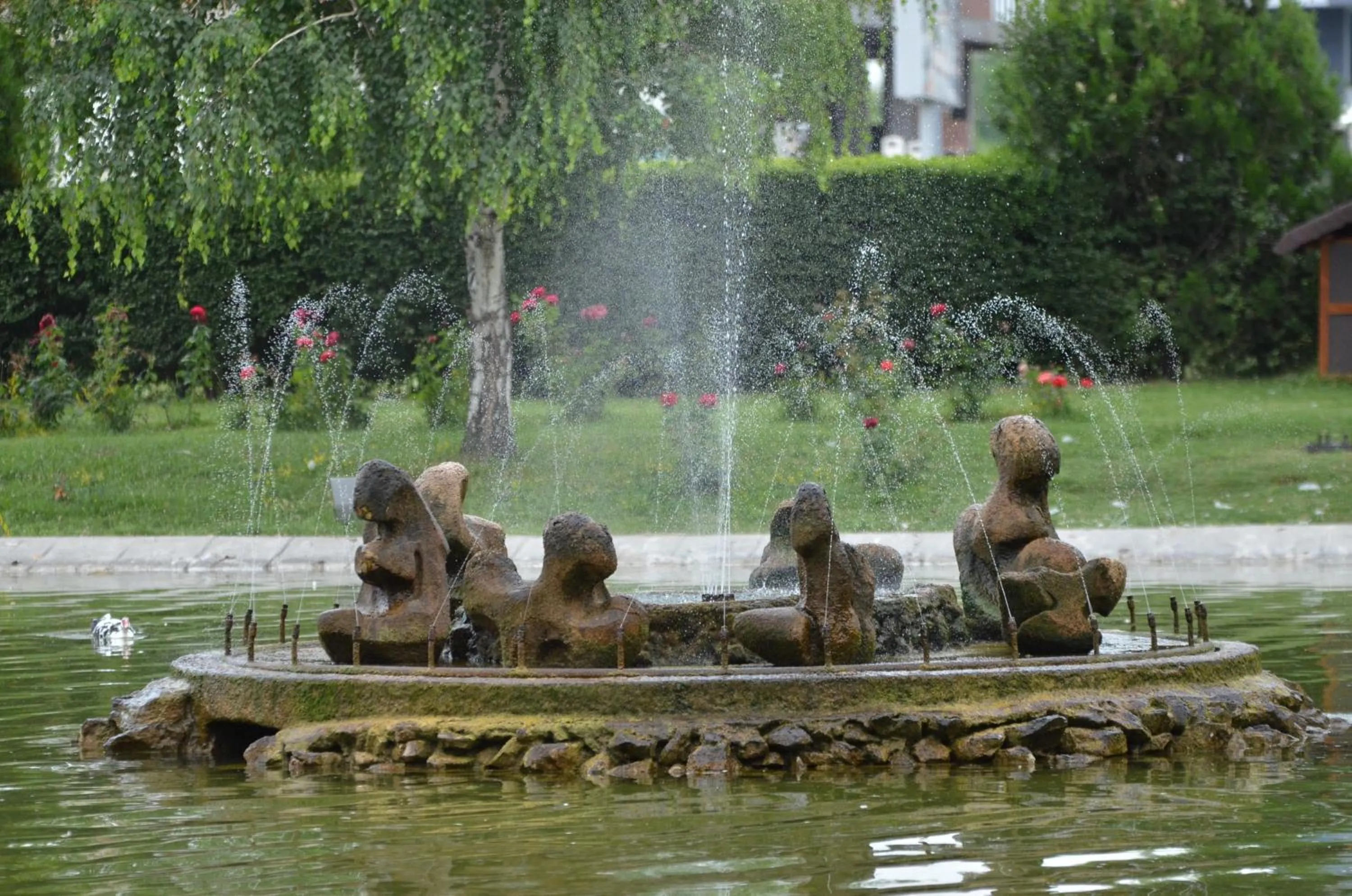 Garden in Hotel Bellevue