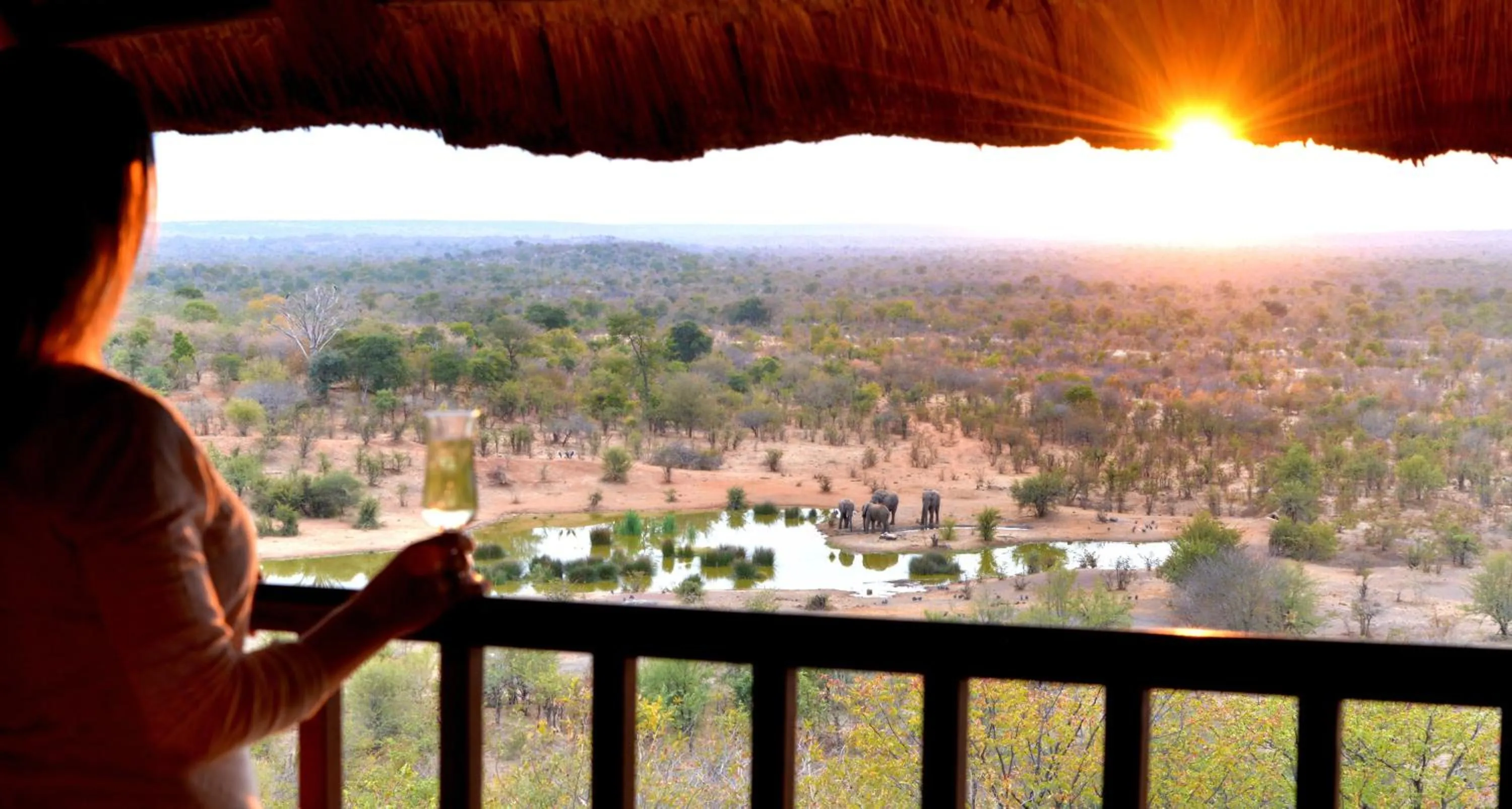 View (from property/room) in Victoria Falls Safari Lodge