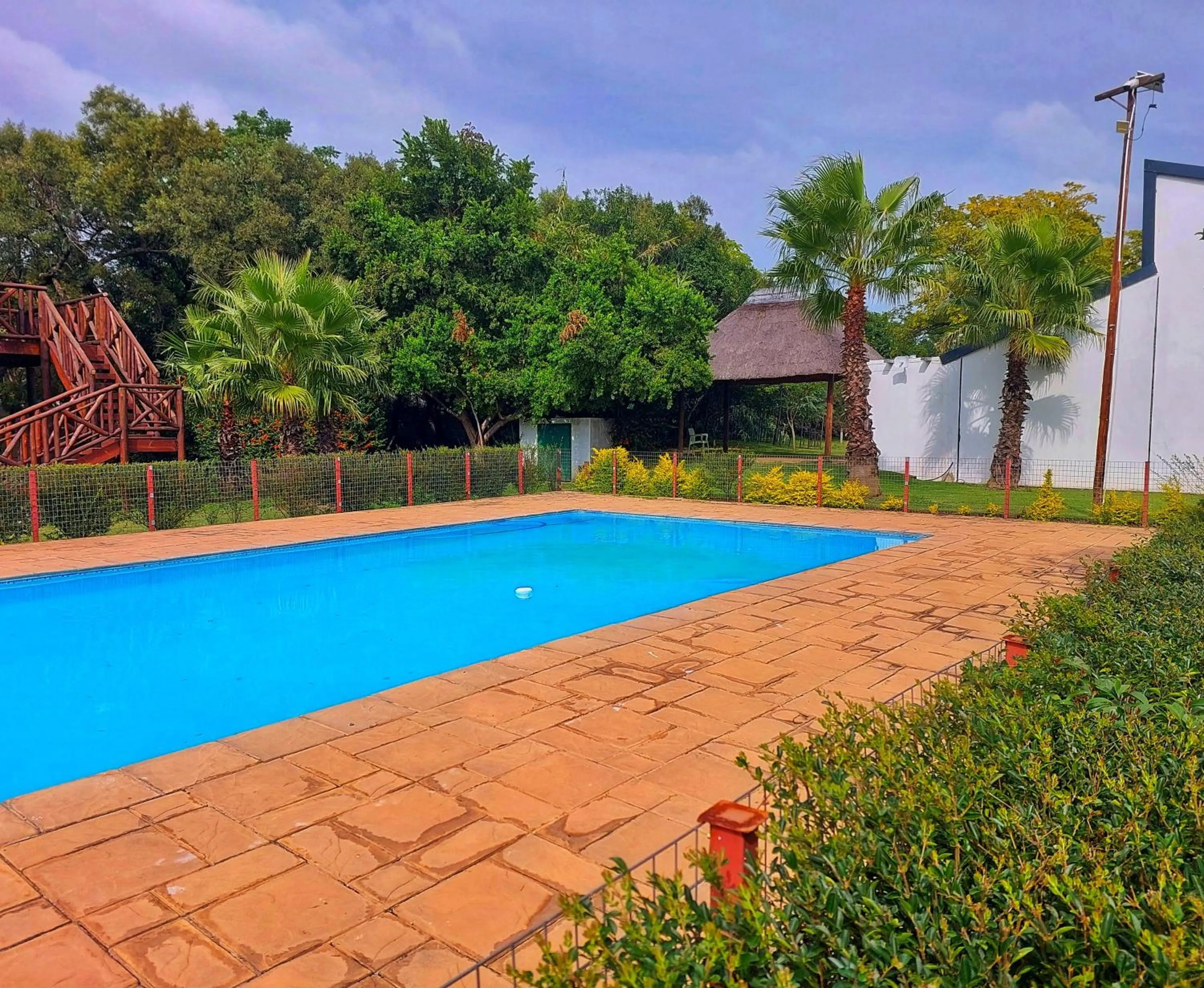 Swimming pool in Clivia Lodge