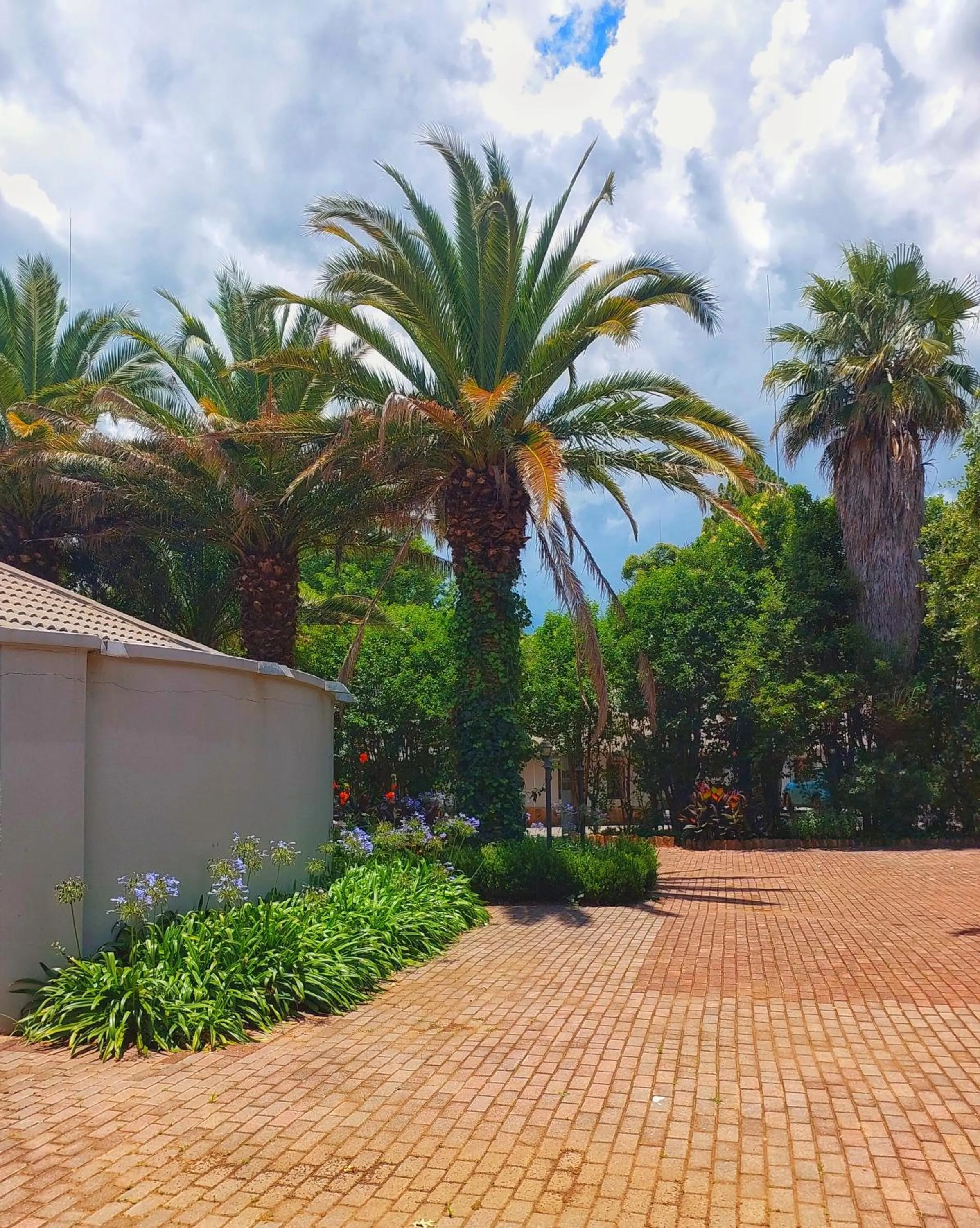 Day in Clivia Lodge