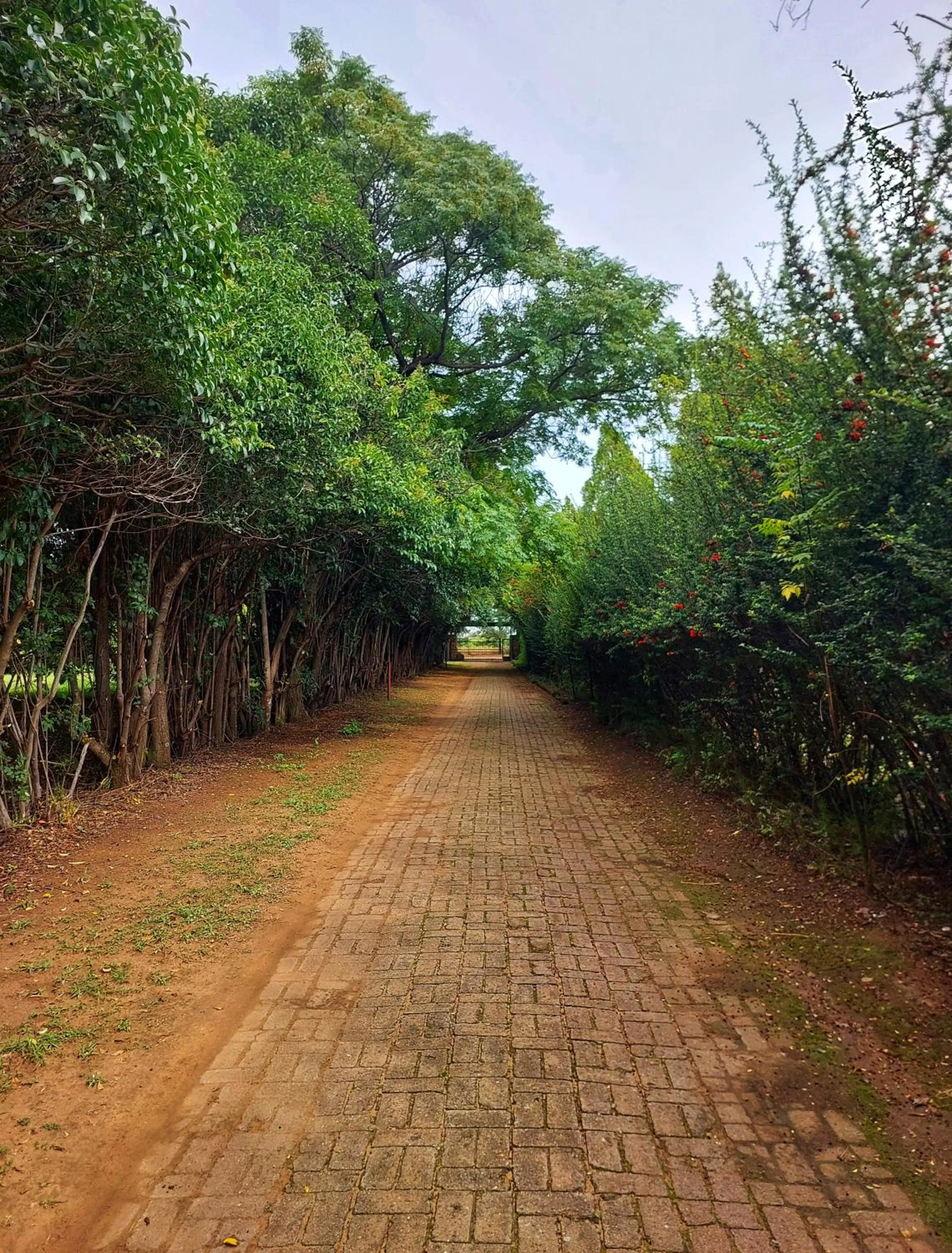 Facade/entrance in Clivia Lodge