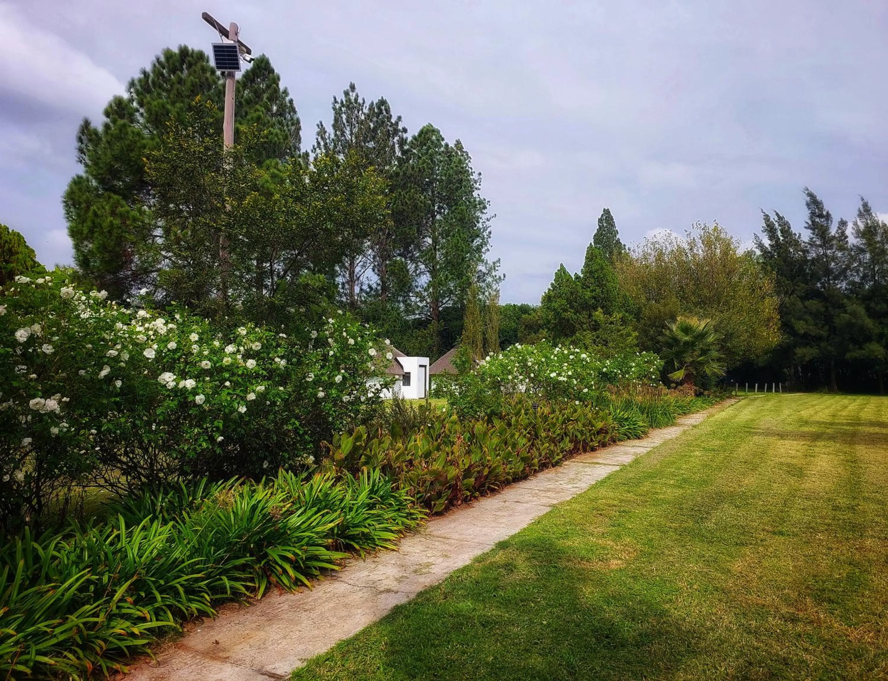 Garden in Clivia Lodge