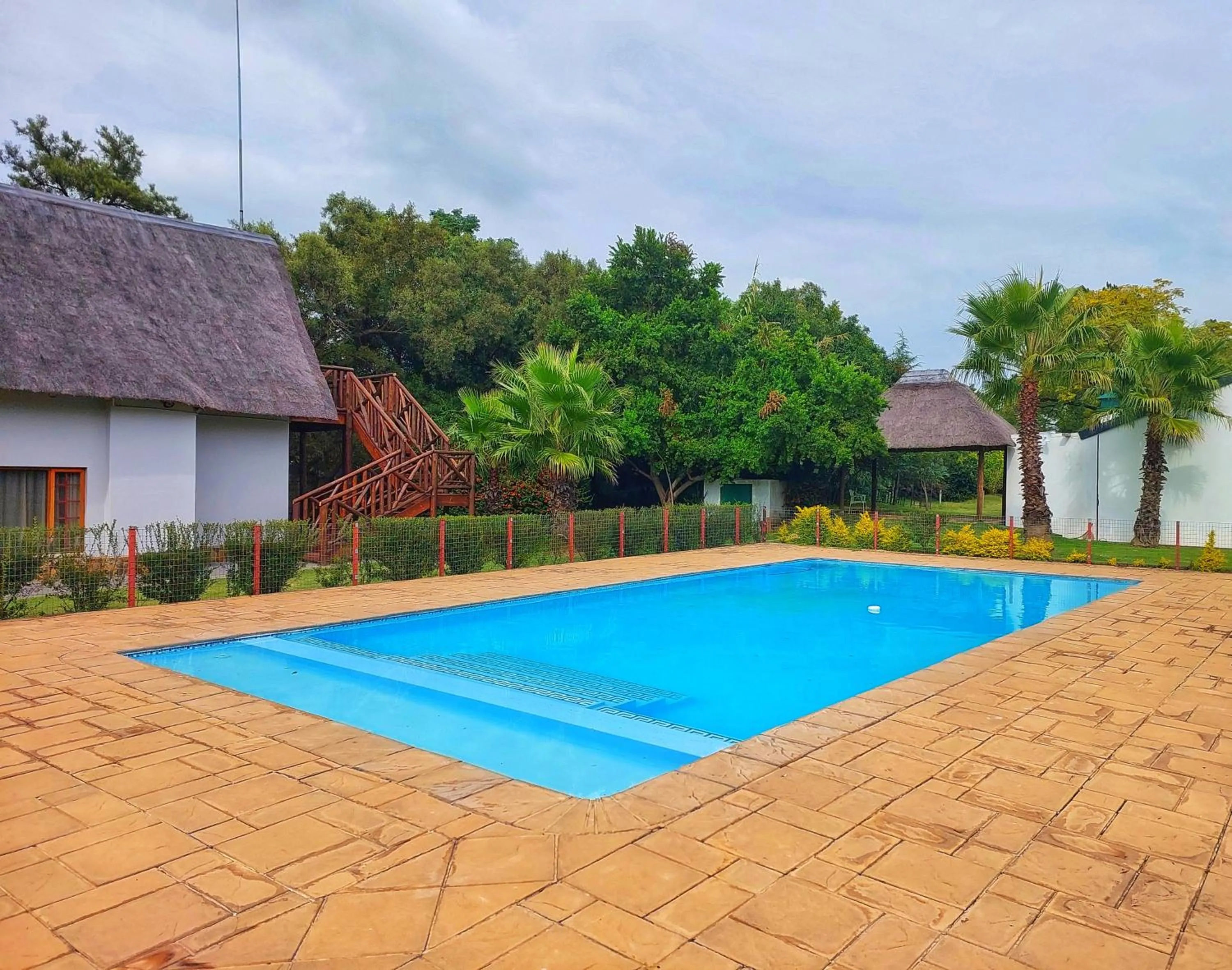 Swimming pool in Clivia Lodge