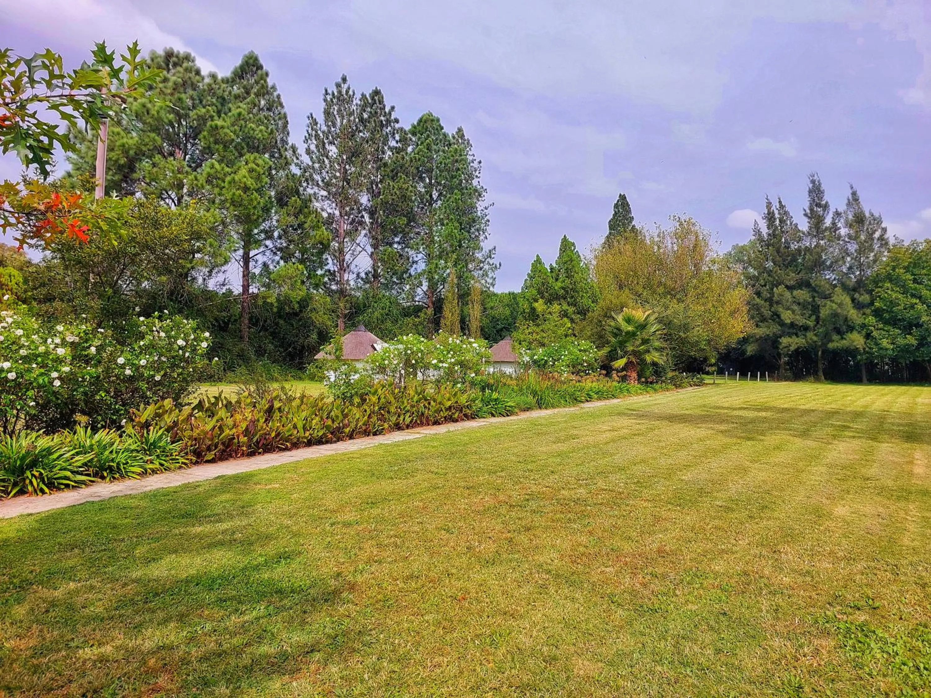 Garden in Clivia Lodge