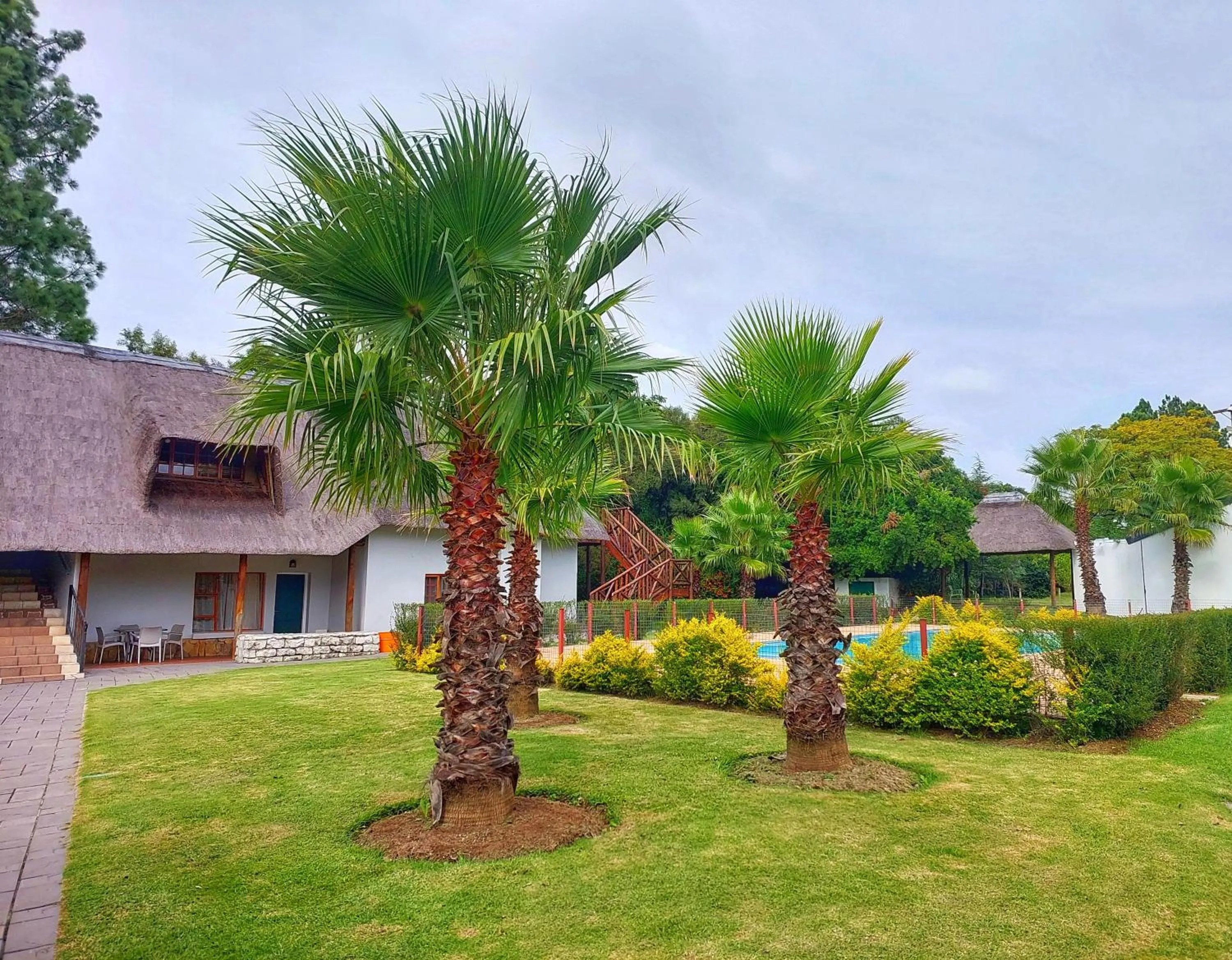 Garden in Clivia Lodge