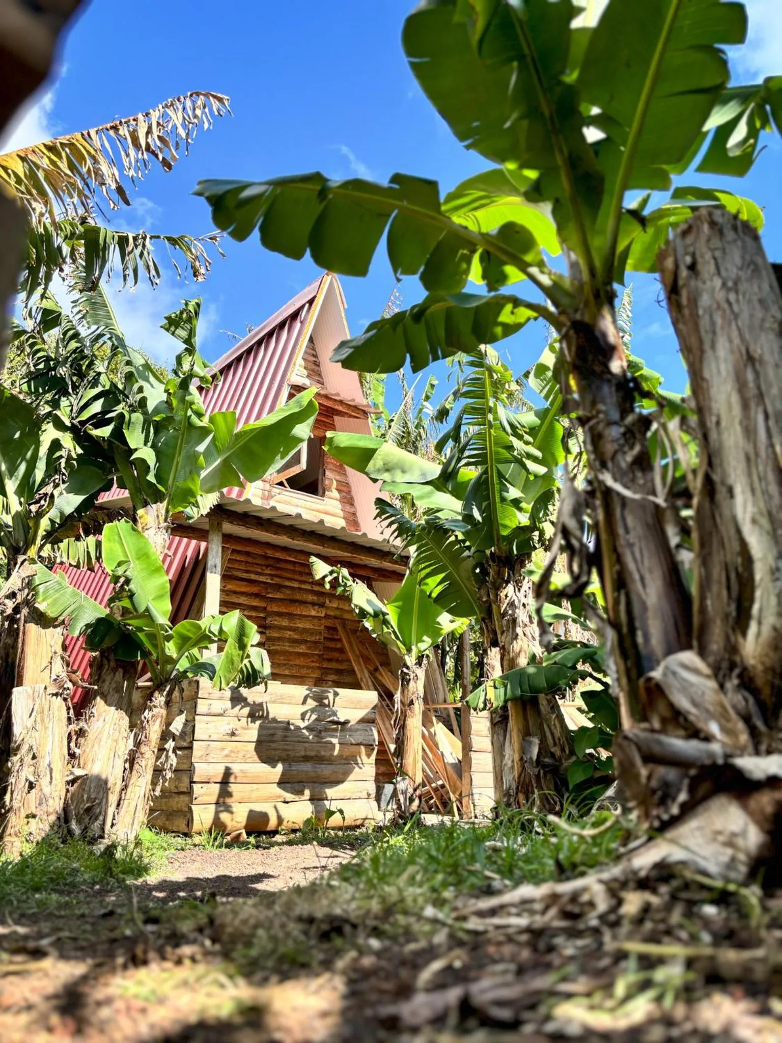 Deluxe Bungalow - single occupancy in Banana Eco Camp