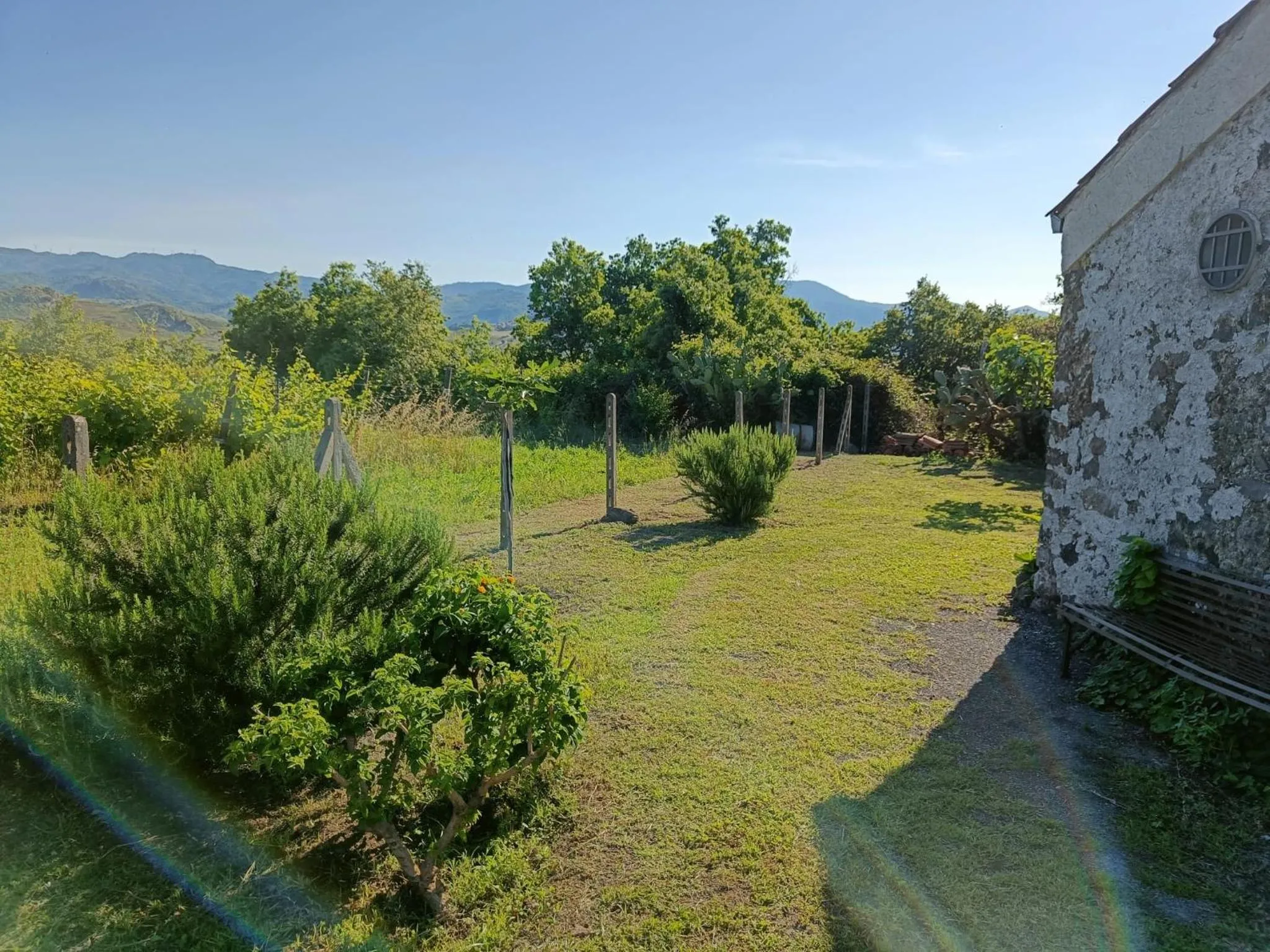 Garden in Il Tanaceto