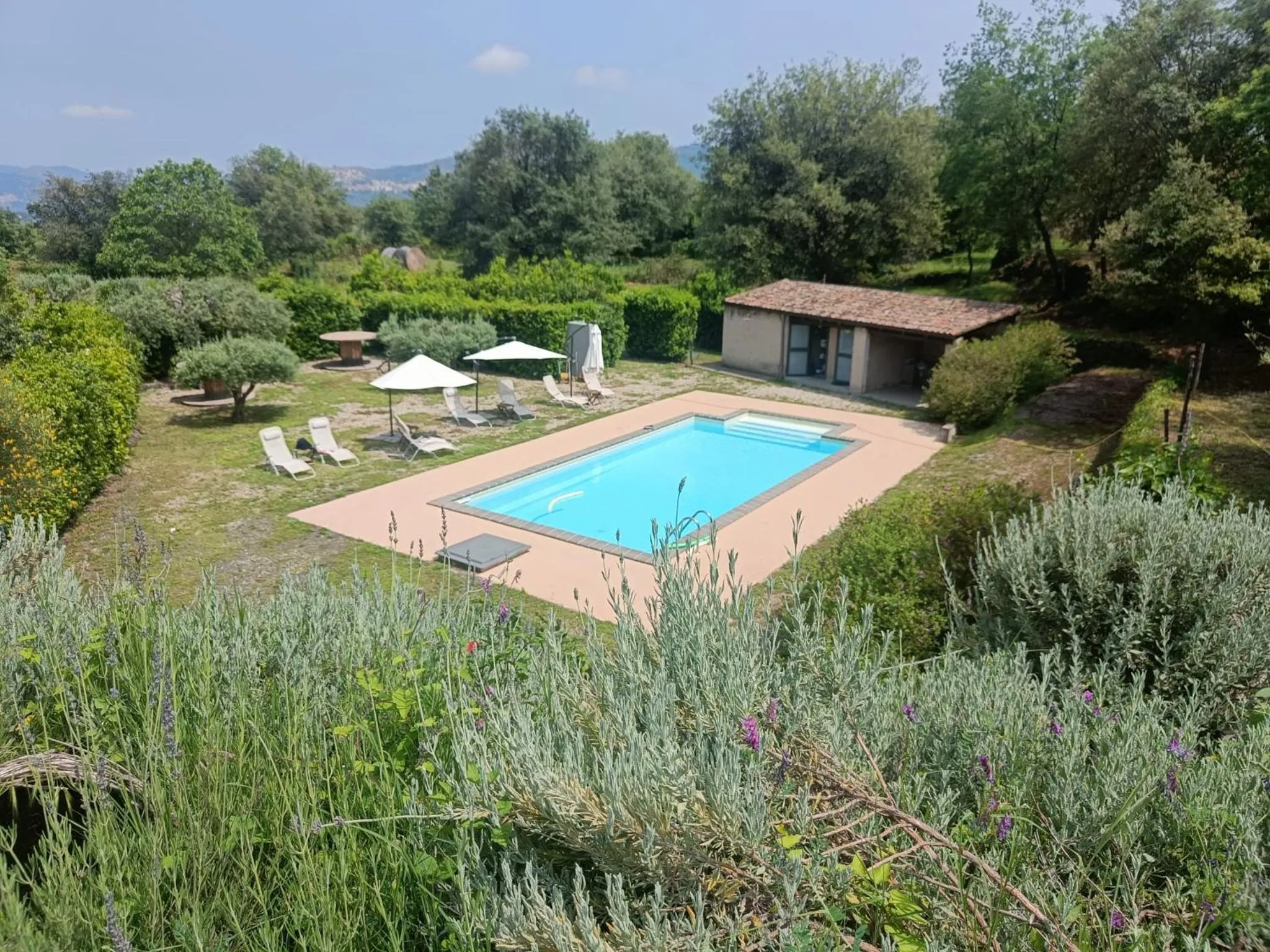 Garden in Il Tanaceto
