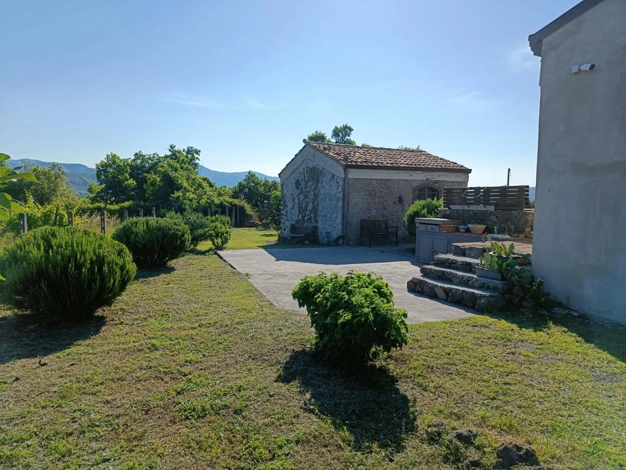 Natural landscape in Il Tanaceto