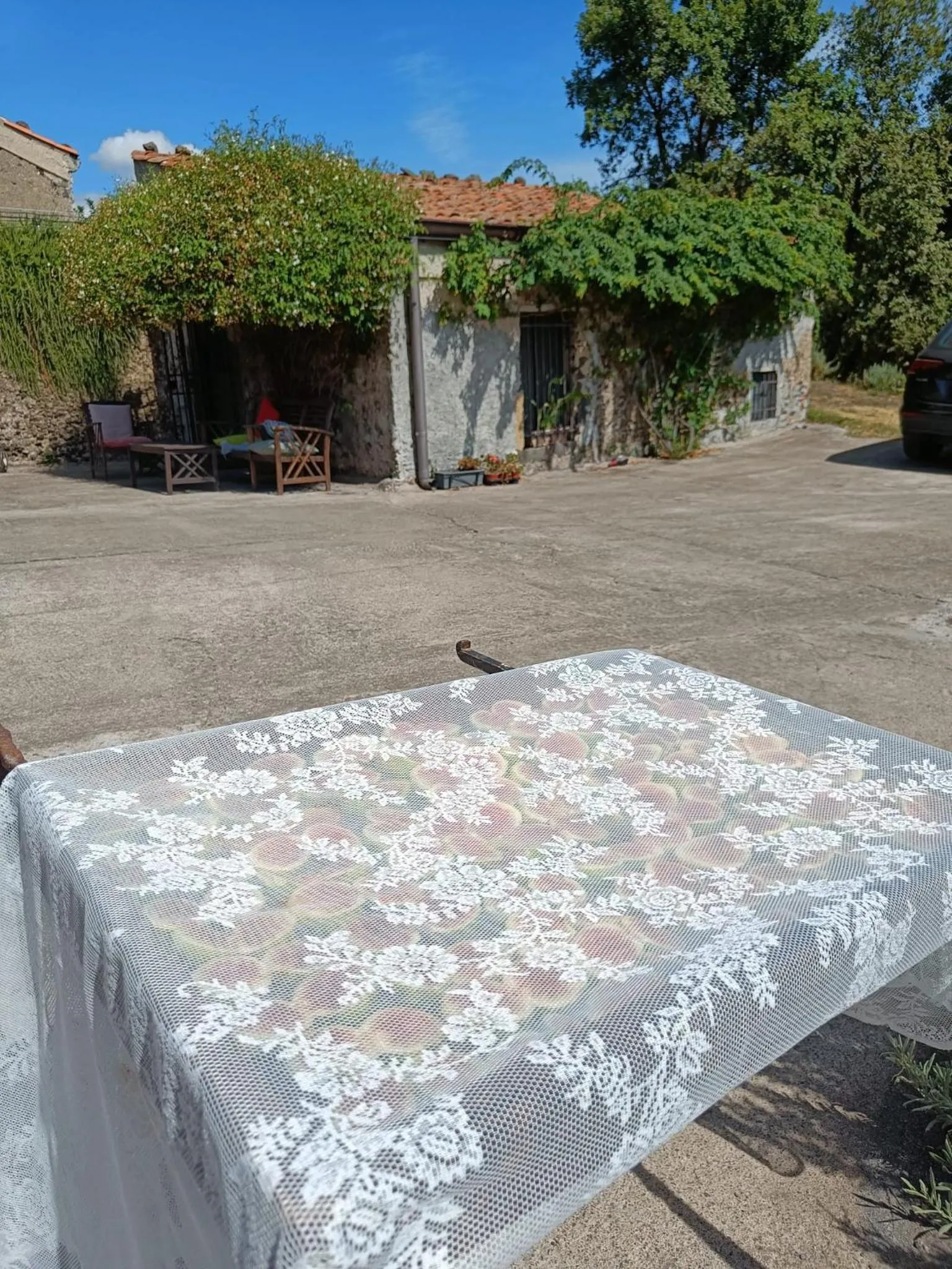 Property building in Il Tanaceto