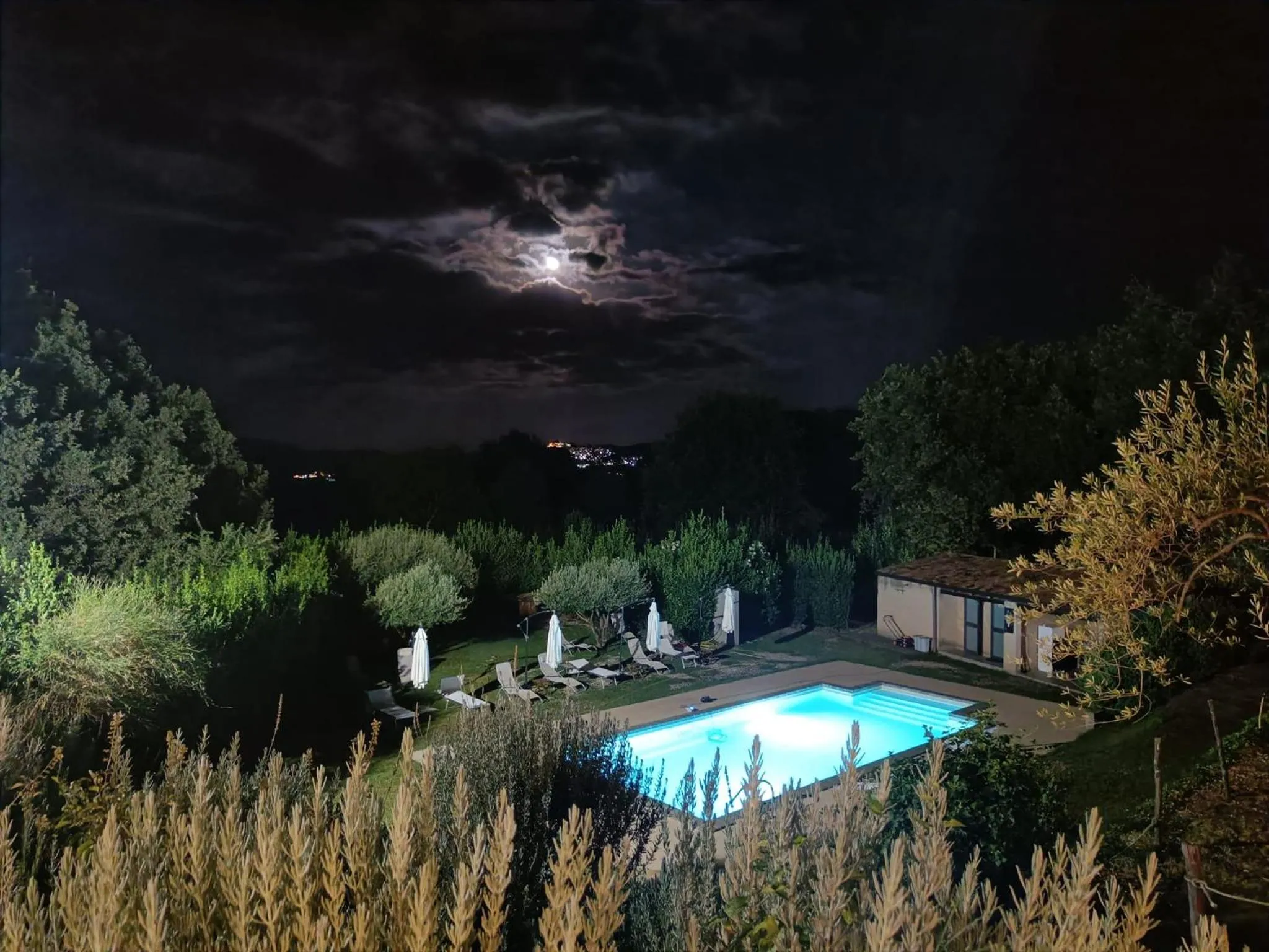 Swimming pool in Il Tanaceto