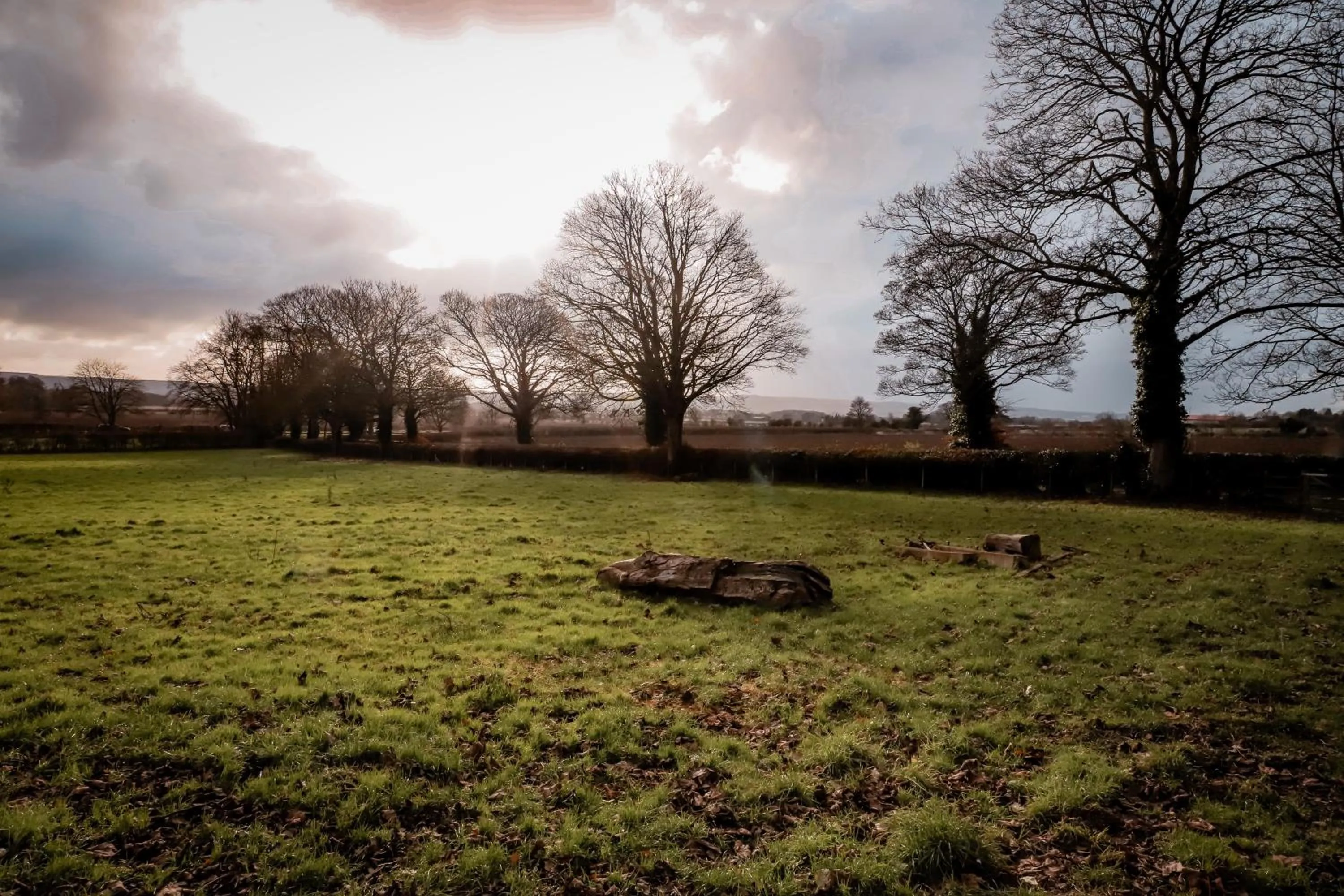 Natural landscape in Gallows Hill