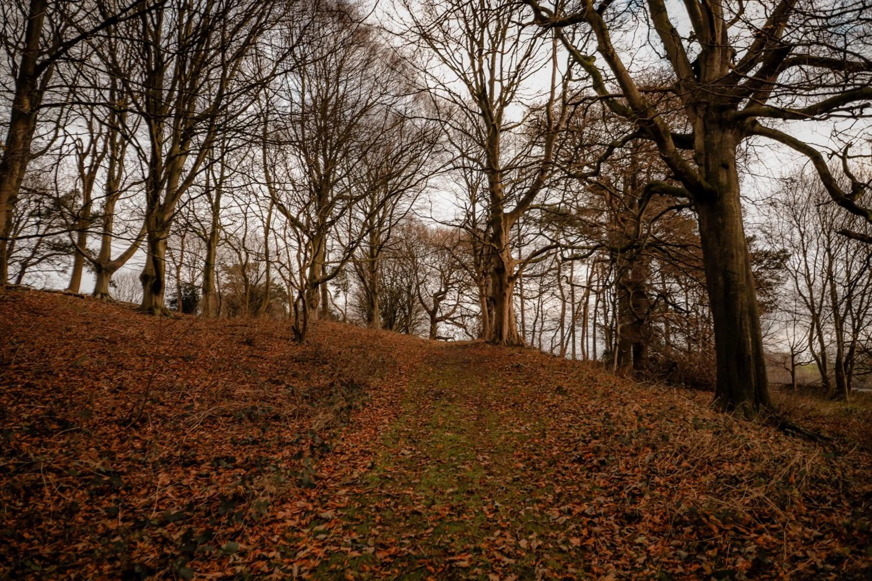 Gallows Hill