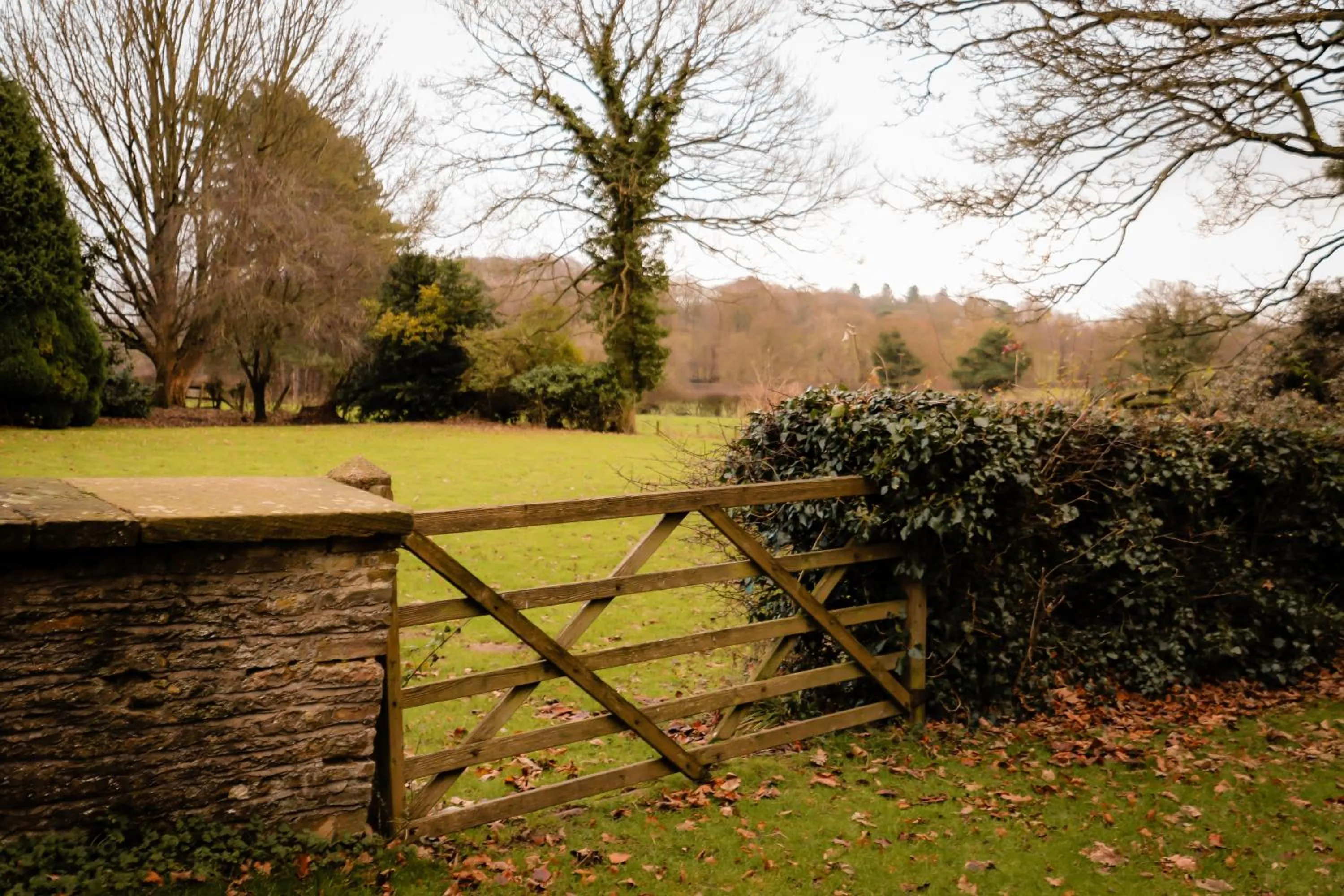 Gallows Hill