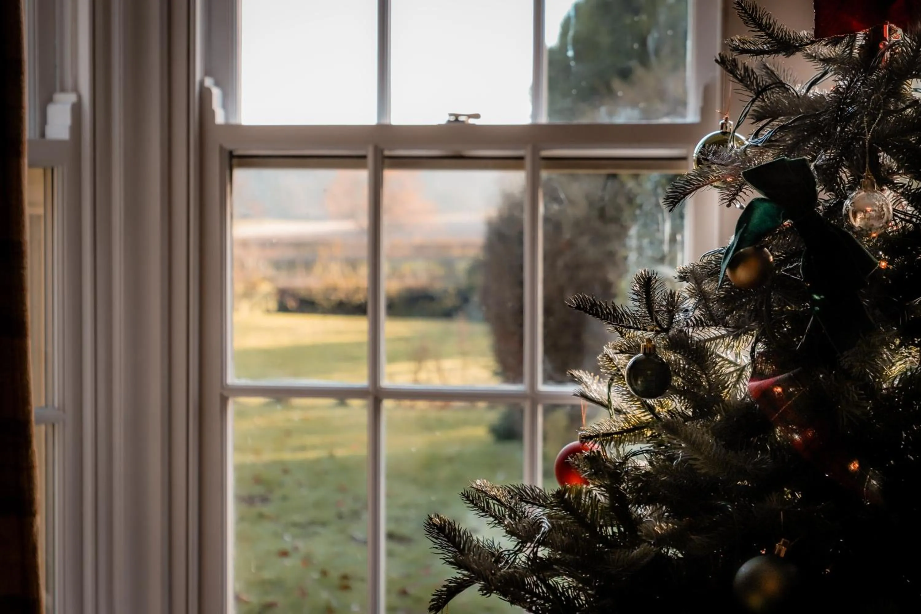 Garden view in Gallows Hill